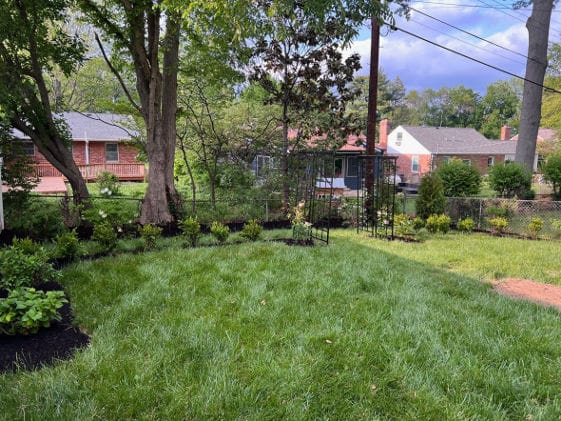 saint louis landscapers